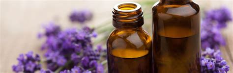 How do essential oils help vertigo? Anointing With Essential Oils For Spiritual Healing ...
