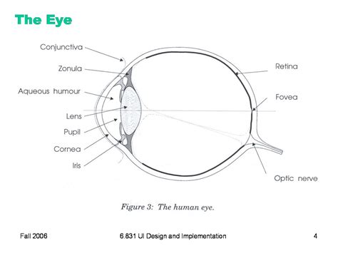Diagram Of The Eye 101 Diagrams