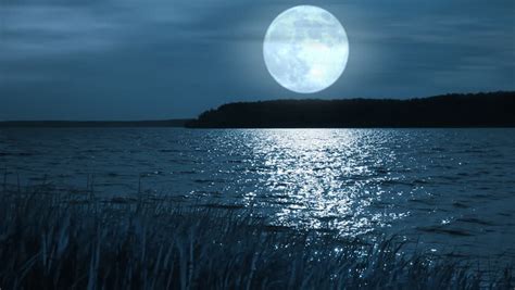 Full Moon Night Landscape With Forest Lake Stock Footage Video 4406777