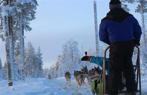 Snowmobiling And Dog Sledding Excursion In Rovaniemi