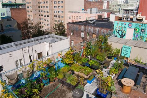 What Is Urban Gardening The Hot Trend Thats Taking Over Cities