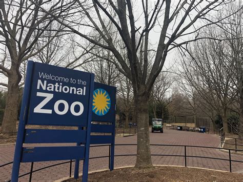 Who Let The Animals In More Fences Gates Within National Zoo Proposed