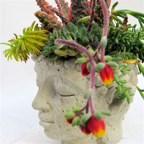 Buddha Head Planter Head Plant Pot Succulents Face Planter Happy