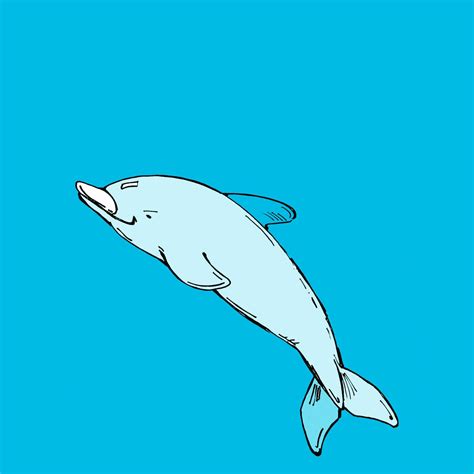 Dolphin Jumping Out Of Water Clipart 