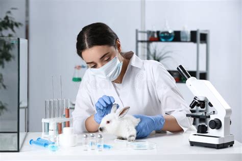 Scientist Working With Rabbit In Chemical Laboratory Animal Testing