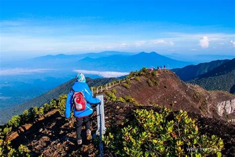 Dari Puncak Gunung Kencana Bogor Nikmati Spot Cantik Panorama Gunung Gede Pangrango Dan