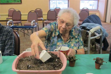 Rejuvenated Garden Therapy Program For Seniors Nursing