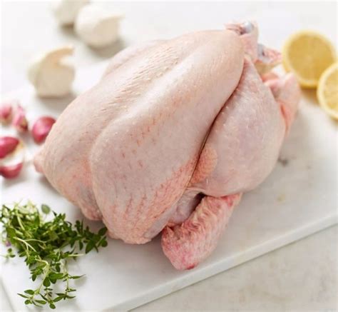 Menternak ayam daging & ayam kampung dalam skala besar. Cara Memotong Daging Ayam Utuh dengan Mudah | Kirim Ayam
