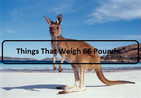 11 Common Things That Weigh 1 Ounce Measuring Troop