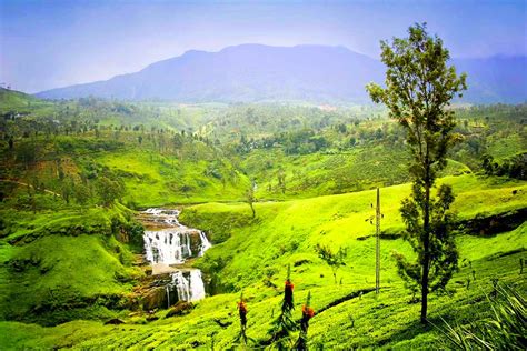 Nuwara Eliya Little England Sri Lanka Tea Plantation