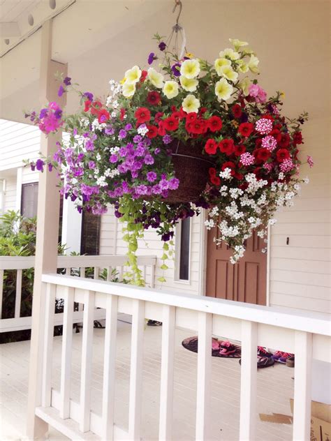 Hanging Baskets Are One Of The Best Ways To Brighten Up Your Porch Or