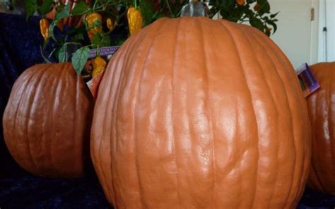 Very Realistic Carvable Artificial Pumpkins By