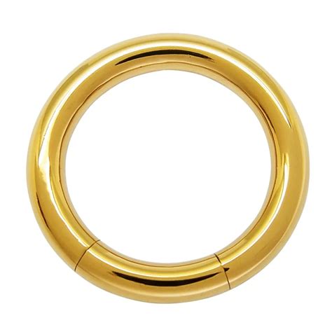 3mm X 15mm Pvd Gold Coated Surgical Steel Body Piercing Segment Ring Piercing Jewelry Aliexpress