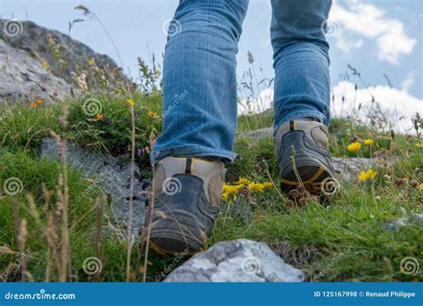 Close Up Of Woman Hiker S Foots In Mountain Stock Photo Image Of