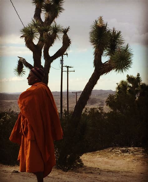 Monk In Desert Joshua Tree Art Of The Hart