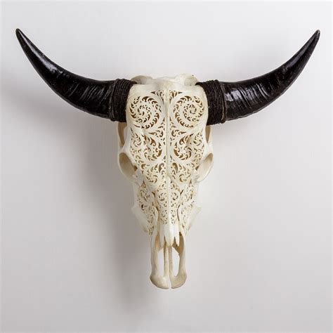 Carved Cow Skull Xl Horns 6 Circles Skull Bliss Touch Of Modern