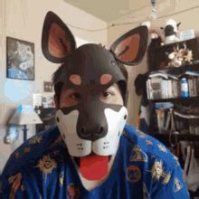 Human Pup Puppy Hood GIF HumanPup PuppyHood PuppyPlay Discover