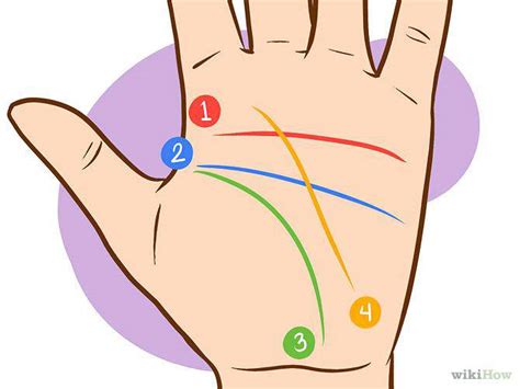 Signes Et Lignes De La Main Comment Les Lire