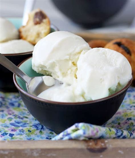 How to make vanilla ice cream & 50+ flavors. Homemade Vegan Coconut Milk Ice Cream — Eatwell101