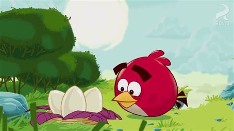 Image Red Arranging The Eggspng Angry Birds Wiki Fandom Powered