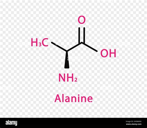 Alanine Chemical Formula Alanine Structural Chemical Formula Isolated