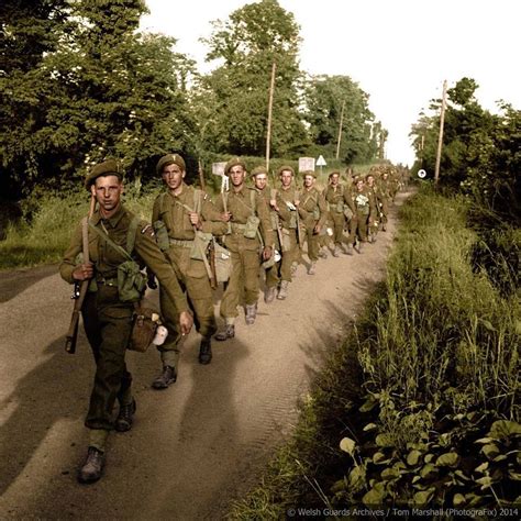 The 1st Battalion Welsh Guards Move Forward Normandy July 1944 This