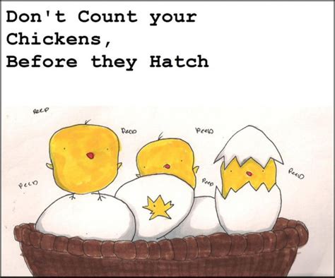 Do not count ypur chickens before they are hatched? Một phút học tiếng Anh: Thành ngữ "Don't Count Your ...