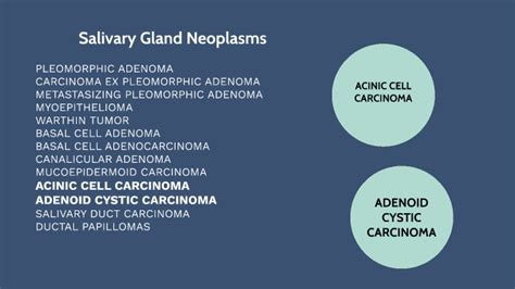 Salivary Gland Neoplasms Presentation By Abdalla Elkhedir