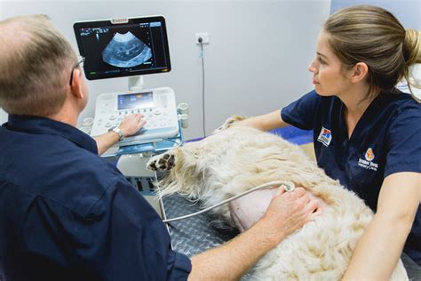 Diagnostic Imaging Brunker Road Veterinary Centre