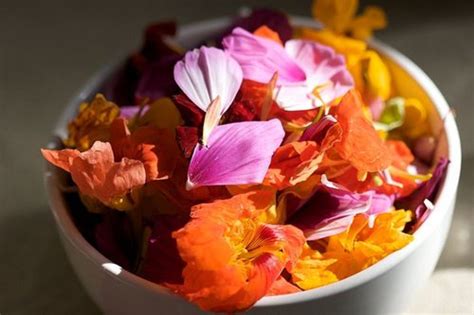 13 Edible Flowers For Your Garden Organic Authority