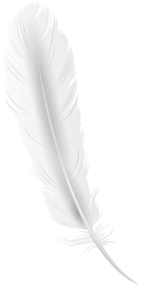 Crmla Transparent Background White Feather Clipart Hot Sex Picture