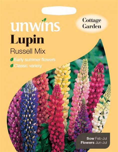 How To Grow Lupins Birstall Garden And Leisure