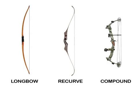 Longbows Vs Recurve Vs Compound Bows Informational Guide