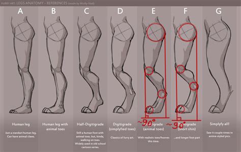 How to draw anime crossed legs. anthropomorphic leg references - Google Search | Anatomy reference, Furry drawing, Art sketches
