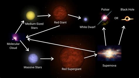The Main Stages Of The Life Cycle Of A Star Central Galaxy