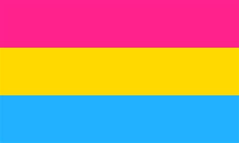 The romantic counterpart is panromantic. Pansexual pride flag - Wikipedia