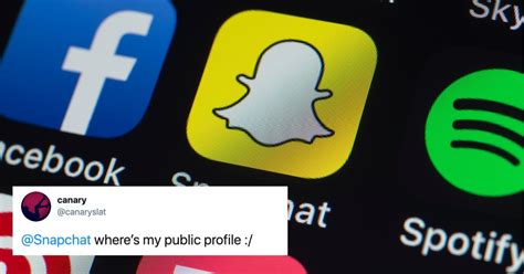 The platform lets women decide whom they want to ask out on a beautiful evening dinner. Here's How to Get a Public Profile on Snapchat (Finally!)