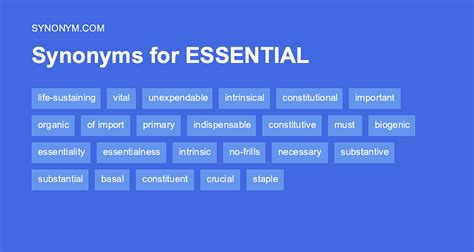Another Word For Essential Synonyms And Antonyms