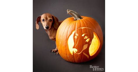 Dachshund 22 Downloadable Dog Breed Pumpkin Stencils Popsugar Pets