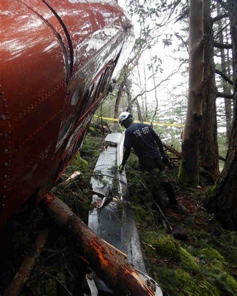 Tsb Releases Photos Of Bowen Island Helicopter Crash Survived By Two