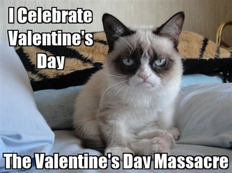 Grumpy Cat Celebrates Valentines Day Imgur