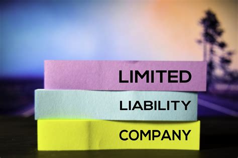 Limited Liability Company (LLC) Definition