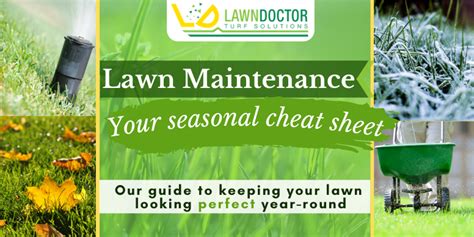 Seasonal Lawn Maintenance Guide Lawn Doctor