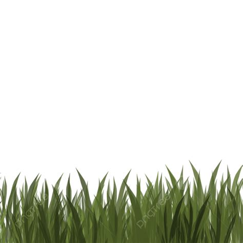 Decorative Grass White Transparent Decorative Green Grass Decorative