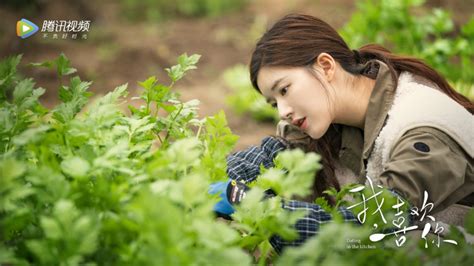 If there any errors appear, please reload the page first. Dating in the Kitchen - cdrama PL