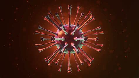 Animation Of Bacteria Virus Or Germs Microorganism Cell Under