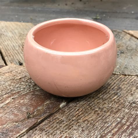 Small Nude Ceramic Pot A Modern Plantsman