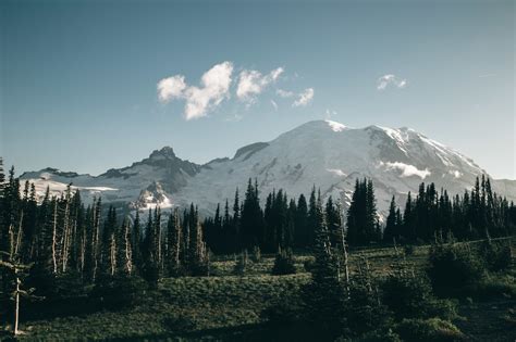 Mount Rainier Washingtonshopinstagram Tumblr Pics
