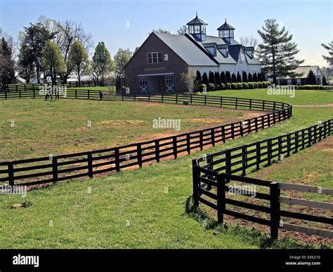 Black Fences And A Horse Barn With Cupolas On The Bluegrass Country