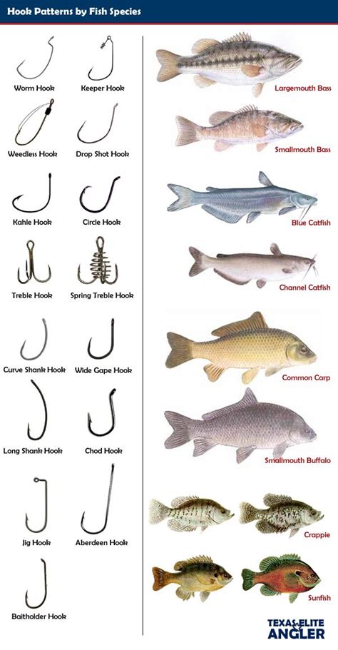 Fish Hook Pattern By Fish Species Artofit